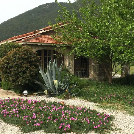 Villa Buhur Villas *